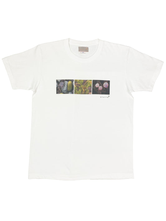 Micrograph T-Shirt - White